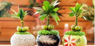 phong thủy phòng khách cho người mệnh kim