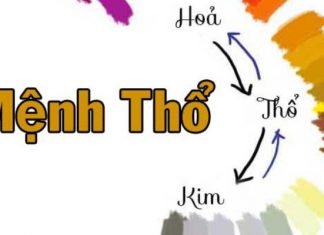 Mệnh Thổ hợp với màu gì nhất?