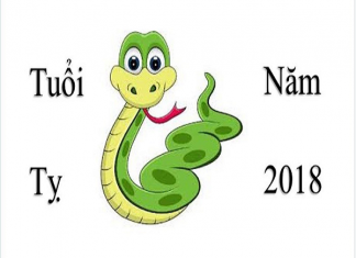 Tuổi Kỷ Tỵ sinh năm 1989 hợp màu gi?