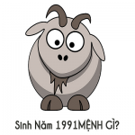 nam-91-menh-gi-hop-mau-nao