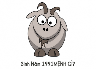 Nam 1991 mệnh gì? xem màu hợp mệnh gia chủ Tân Mùi