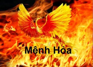 Mệnh hoả hợp màu gì - Những điều cần biết về mệnh Hoả