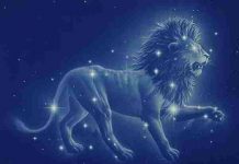 Tử vi tháng 8 năm 2019 cung Sư tử: Tràn đầy năng lượng tích cực