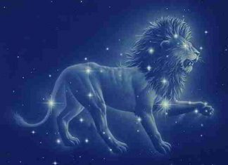 Tử vi tháng 8 năm 2019 cung Sư tử: Tràn đầy năng lượng tích cực