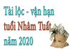 van-han-nham-tuat-nam-2020