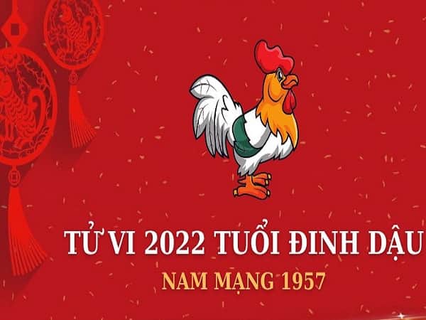 Bình giải tử vi tuổi Đinh Dậu 1957 năm 2023 Nam mạng