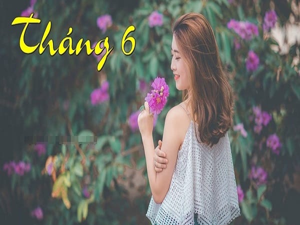 Xem tử vi tháng 6/2024 của cung Nhân Mã