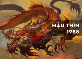 Khám phá con số may mắn của tuổi Mậu Thìn hôm nay 26/6/2024