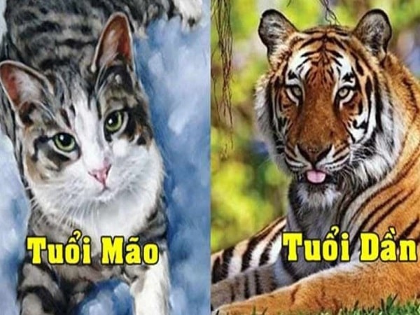 Tổng quan về tuổi Dần 1998 và Mão 1999