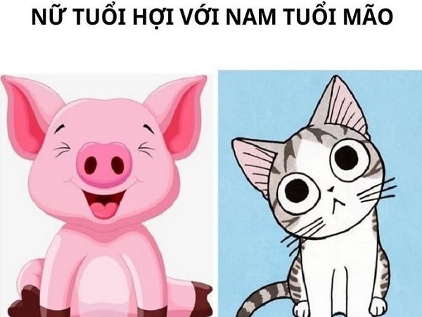 Luận tuổi Mão và tuổi Hợi có hợp nhau không ?