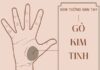 Luận nốt ruồi ở gò Kim Tinh tay trái, phải của nam và nữ