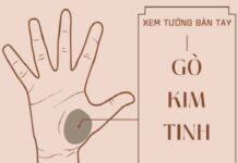 Luận nốt ruồi ở gò Kim Tinh tay trái, phải của nam và nữ