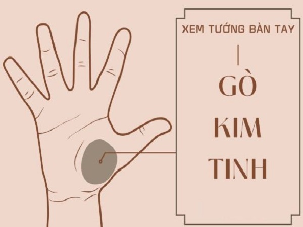 Ý nghĩa chung của nốt ruồi ở gò Kim Tinh